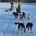 Апартаменты Stengelsen Husky