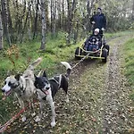 Апартаменты Stengelsen Husky