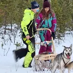 Stengelsen Husky Альта