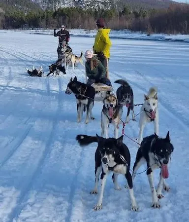 Leilighet Stengelsen Husky