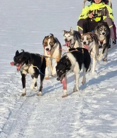 Leilighet Stengelsen Husky *