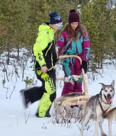 Stengelsen Husky Alta
